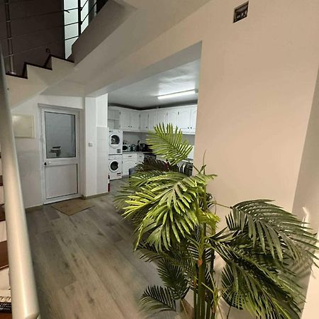 Alvarenga House Maia  Extérieur photo